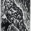 Mr. Owl  -  Spring 2008 [woodcut] 9"x12"
